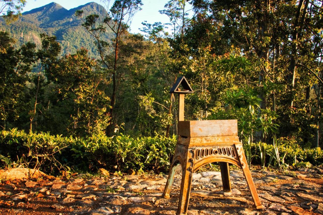The Backyard بالانجودا المظهر الخارجي الصورة