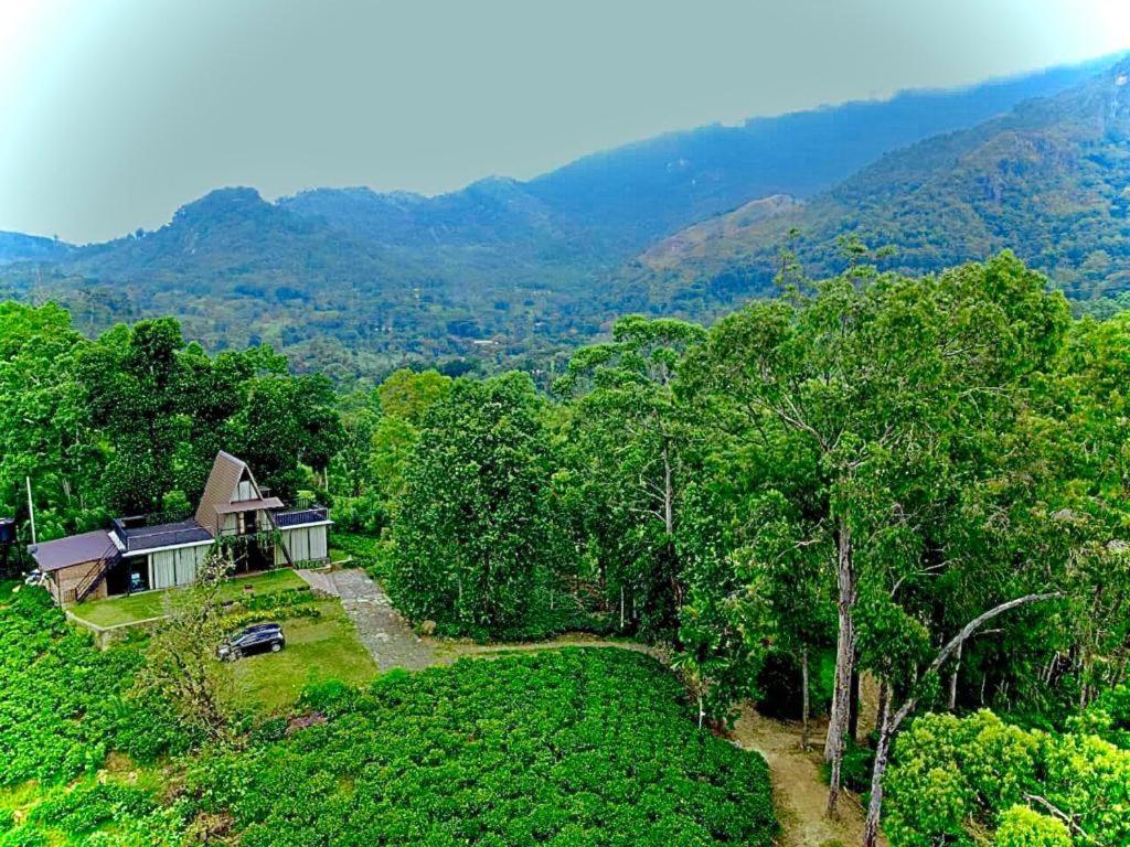 The Backyard بالانجودا المظهر الخارجي الصورة
