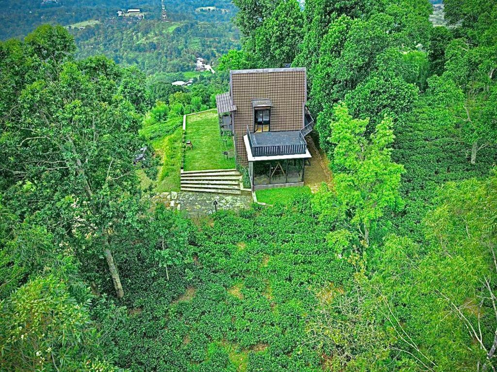 The Backyard بالانجودا المظهر الخارجي الصورة