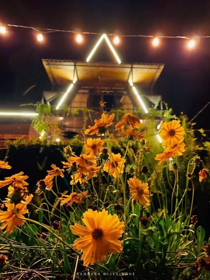 The Backyard بالانجودا المظهر الخارجي الصورة