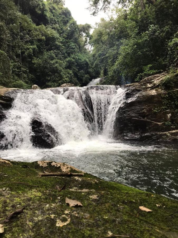 The Backyard بالانجودا المظهر الخارجي الصورة