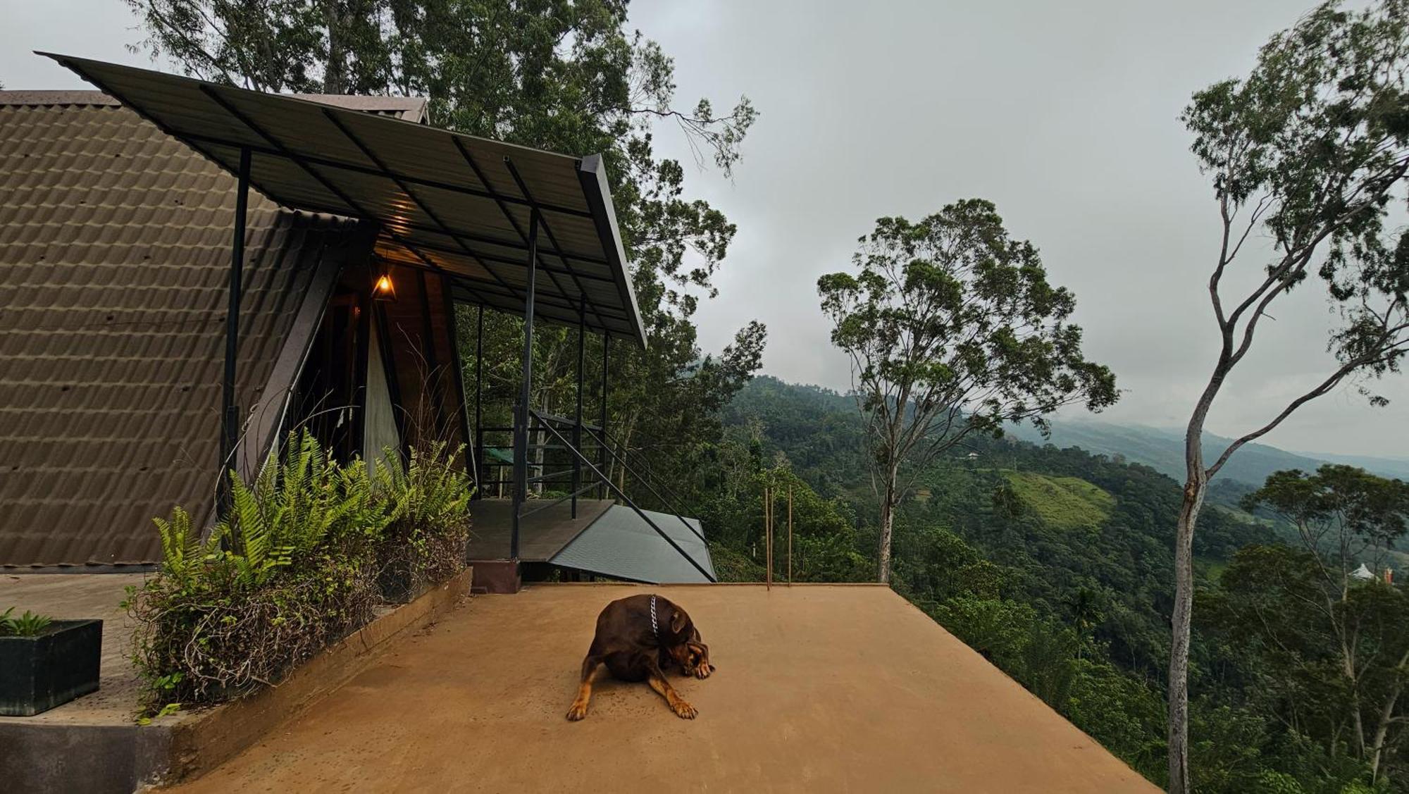 The Backyard بالانجودا المظهر الخارجي الصورة