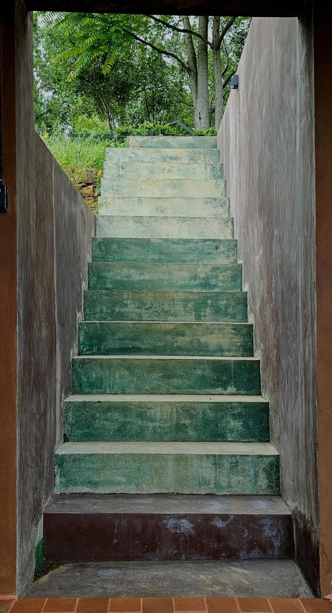 The Backyard بالانجودا المظهر الخارجي الصورة